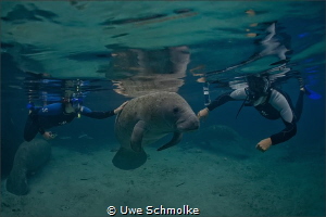 Attention needed by Uwe Schmolke 